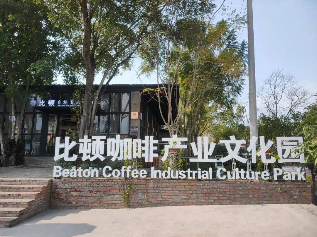 融合发展 推动特色产业兴旺AG真人登录隆阳：咖啡产业(图2)