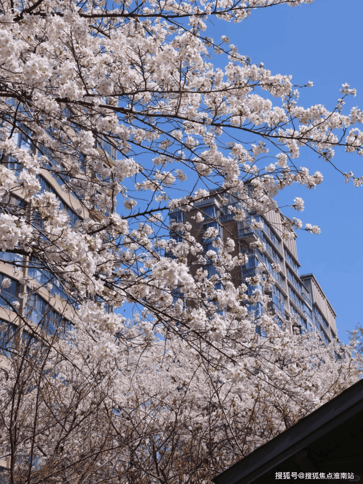 售中心 - 环境户型价格地址楼盘详情配套电话交房时间配套电话交房时间AG真人登录入口2026年古北99 (售楼处) 首页 - 古北99销(图10) 售中心 - 环境户型价格地址楼盘详情配套电话交房时间配套电话交房时间AG真人登录入口2026年古北99 (售楼处) 首页 - 古北99销(图10)